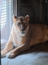 Zoo de Tennōji