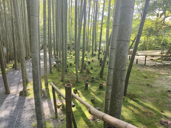 Enko-ji, le temple zen aux érables d automne de Kyoto