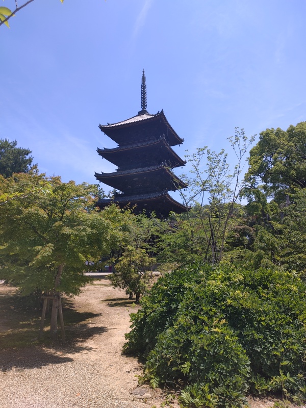 Ninna-ji, l ancien monastère impérial de Kyoto