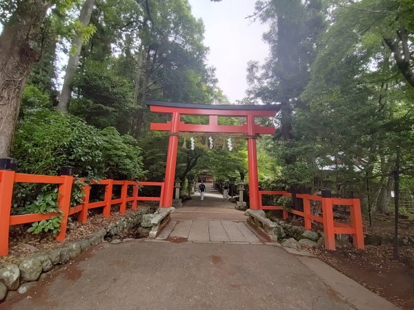 Ōta-jinja, sanctuaire shintō aux iris kakitsubata de Kyoto