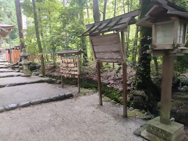Ōta-jinja, sanctuaire shintō aux iris kakitsubata de Kyoto