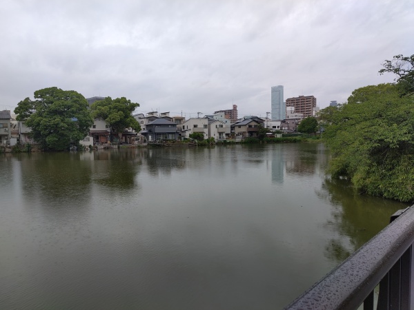 Le parc Momogaike, un étang paisible au sud d Osaka