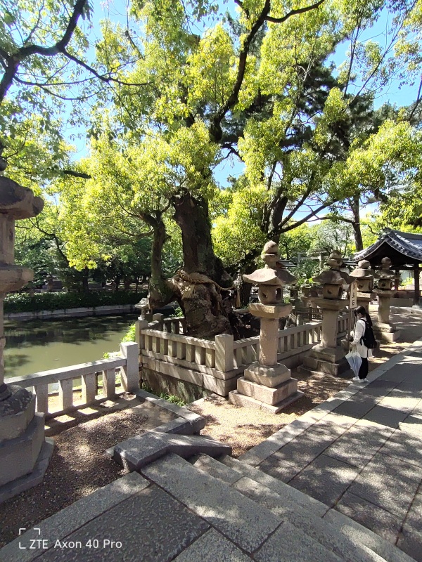 Sumiyoshi-taisha, le grand sanctuaire des divinités de la mer d Osaka