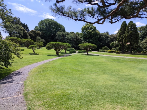 Shinjuku Gyoen, le grand jardin national de Tokyo